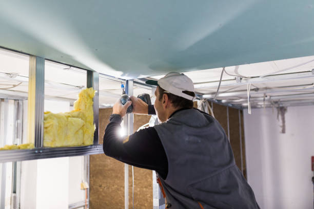 Best Fiberglass Insulation in Bear Valley Springs, CA