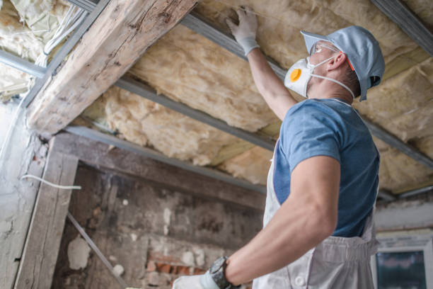 Types of Insulation We Offer in Bear Valley Springs, CA