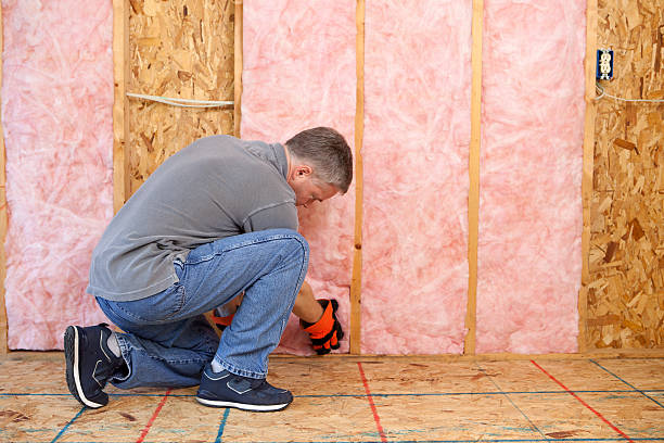 Best Eco-Friendly Insulation in Bear Valley Springs, CA