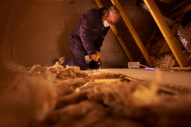 Best Cellulose Insulation in Bear Valley Springs, CA